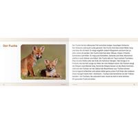 Ich Kenne Waldtiere - Schülerarbeitsheft Für Die 2. Bis 4. Klasse