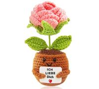 Ich liebe Dich Cadeaux pour femmes et hommes, cadeau pour couple, rose de poche, cadeau pour partenaire, anniversaire de mariage, cadeau d'anniversaire pour elle et lui, série de pommes de terre