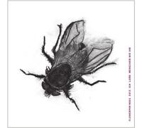 Ich Liebe Menschen Wie Ihr