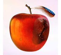 Ich Will So Sein Wie/Nina Hagen