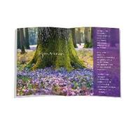 Ich Wünsch Dir Glück Und So Viel Mehr