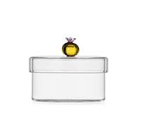 Ichendorf Desert Plants Boîte avec Cactus Ambre