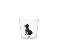 Ichendorf DOGS Tumbler Poodle caniche