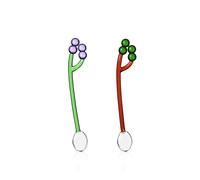 Ichendorf Milano Lot de 2 cuillères à café raisin rose et vert, collection Fruits & Flowers, H 12 cm, verre borosilicate, fait à la main