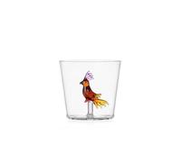 Ichendorf Milano Tumbler Oiseau Tropical Ambre, Collection Talking Trees, 30 cl, Verre borosilicate, fait à la main