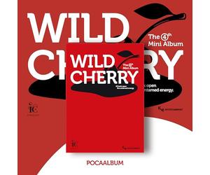 Ichillin - 【正規輸入盤】ICHILLIN' [WILD CHERRY] (POCA ALBUM Ver.)（韓国盤）
