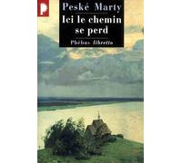 Ici le chemin se perd