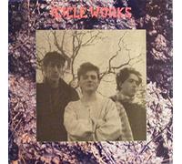 ICICLE WORKS