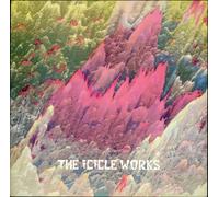 ICICLE WORKS - birds fly (whisper to a scream) 12
