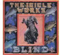 Icicle Works - Blind