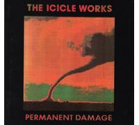 Icicle Works - Permanent Damage