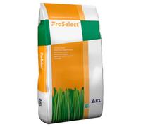 ICL ProSelect Rhizome Max semences 10 kg Formation de rhizomes gazon de sport