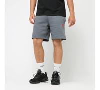 Under Armour Under Armour Icon Fleece Shorts M Argent