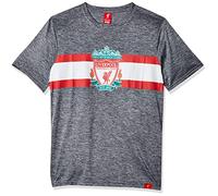 Icon Sports T-Shirt à Manches Courtes pour Homme Manchester City F.C. T-Shirt de Football pour Adulte (Lot de 1)