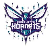 Iconic Puzzles - Charlotte Hornets, Logo, Puzzle en Bois sous Licence Officielle NBA, 100% Durable, Taille M, 270 pièces