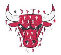 Iconic Puzzles - Chicago Bulls, Logo, Puzzle en Bois sous Licence Officielle NBA, 100% Durable, Taille M, 270 pièces