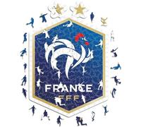 Iconic Puzzles, Logo Équipe de France, Puzzle en Bois 100% éco-Durable avec licience Officielle, Taille L, 500 pièces