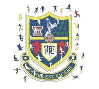 Iconic Puzzles, Tottenham Retro Logo, Puzzle en Bois 100% éco-Durable avec licience Officielle, Taille M, 270 pièces