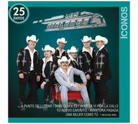 Iconos/25 Exitos