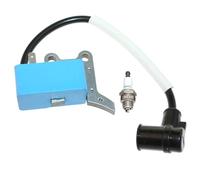 ICOOYO Bobine d'allumage pour Echo PB-2520 Shindaiwa EB252 A411001750