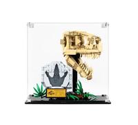 icuanuty Vitrine en acrylique pour fossiles de dinosaures Lego Jurassic World 76964,76969, rangement et organisation protégés de la poussière pour modèle Lego, dimensions : 25 x 24 x 24 cm (étui