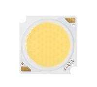 ICXLPMC 1PCS High Power 50W 10W 20W 30W 40W COB Led Matrix Lamp 1919 DC30-33V Bridgelux LEDs for Flashlight Chips Diode Bulb Cool White(10W Bridgelux,Warmwhite 3000K)