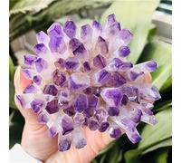 ICXLPMC Crystal 1 pièce Green Ghost Phantom Quartz Grappe de cristaux violets Pierres de roche et cristaux synthétiques Quartz naturel Rock Home Collections (couleur : bordeaux, taille : 300-350 g)