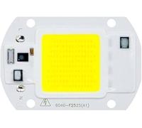 ICXLPMC Pack of 1, DIY LED COB Chip Diode AC110V 10W/20W/30W/50W, Full Spectrum Grow Plant Light Smart IC No Need Driver Household Bulbs(Cold White,110V 50w)