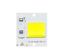 ICXLPMC Pack of 2, DIY LED COB Chip Lighting AC110V 10W/20W/30W/50W/70W/100W Smart IC No Need Driver LED Flood Light Spotlight Household Bulbs(110V Cold White,10W)