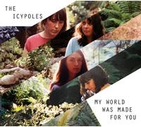 Icypoles - My World Was Made for You