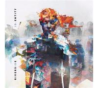 ID.Entity Vinyle