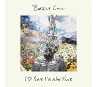 I'd Say I'm Not Fine (Vinyl) Barely Civil