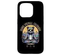 Idaho Springs Colorado Ours Abstrait Chill Zen Yoga Design Coque pour iPhone 15 Pro