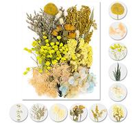 iDattel Fleurs séchées Naturelles - Mélange Naturel - Fleurs séchées - pour travaux manuels - en résine - pour Scrapbooking - Jaune