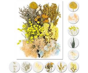 iDattel Fleurs séchées Naturelles - Mélange Naturel - Fleurs séchées - pour travaux manuels - en résine - pour Scrapbooking - Jaune