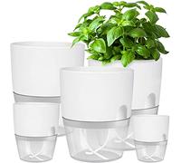 iDattel Potager Jardiniere Interieur-5 Pcs Pot à Herbes-pour Rebord de fenêtre-avec système d'arrosage Automatique-pour la Cuisine-Plante interieur-15.3/10.5/8.2cm-Blanc