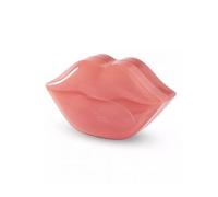 IDC INSTITUTE Masque à lèvres hydrogel 22 Uds