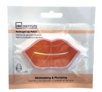 Idc Institute Patch Gel Lèvres Hydratante 1ut