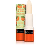 IDC Institute Skin Food baume à lèvres teinte Mango 3.5 g
