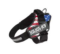 IDC PowerHarness Harnais Taille XL/2 Drapeau USA