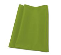 IDEAL 7310006 AP30/40 Pro Housse de filtre en textile Vert
