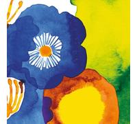 Idéal à Domicile Gamme 20-Count Serviettes en Papier pour Cocktail, Juhannustaika