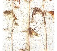 Idéal à Domicile Gamme de 20 Serviettes en Papier, Bouleau