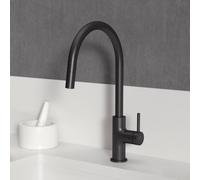 Ideal Standard Ceraline Nuovo Mitigeur de de cuisine pivotant avec douchette extractible, BE268XG,