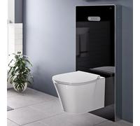 Ideal Standard ProSys Module sanitaire NeoX H: 114,6 cm, pour cuvette suspendue, R0144A6, NeoX