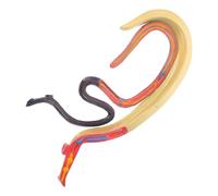 IDEANATEGRATE Modèle pédagogique anatomique Schistosome en plastique, Modèle détachable hermaphrodite pour classes de biologie, outil d'apprentissage cognitif destiné aux étudiants