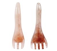IDEANATEGRATE Outils de Massage du Cuir Chevelu 2pcs Peignes Grattoirs en Résine Pratiques et Faciles à Transporter pour Usage Professionnel Domicile