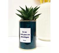 Idée Cadeau - Je ne suis Pas en Plastique - Plante d'intérieur