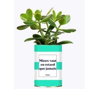 Idée Cadeau - Mieux Vaut en Retard Que jamais - Plante d'intérieur