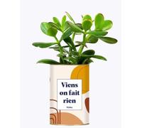 Idée Cadeau - Viens on Fait Rien - Plante d'intérieur
